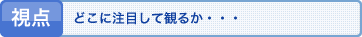 視点 どこに注目して観るか・・・